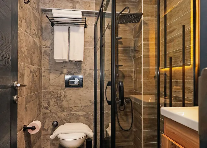 ホテル Galata Master 3*